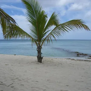 3* Hotel Hotel Bayahibe